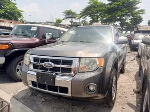Ford Escape 2010 Gray