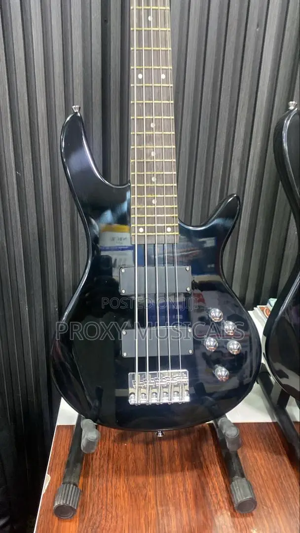 Fender 5strings Active Bass Guitar