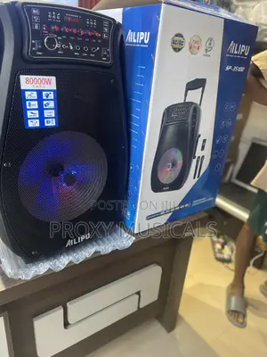 Ailipu 15inch Rechargeable Pa System Wireless Microphones