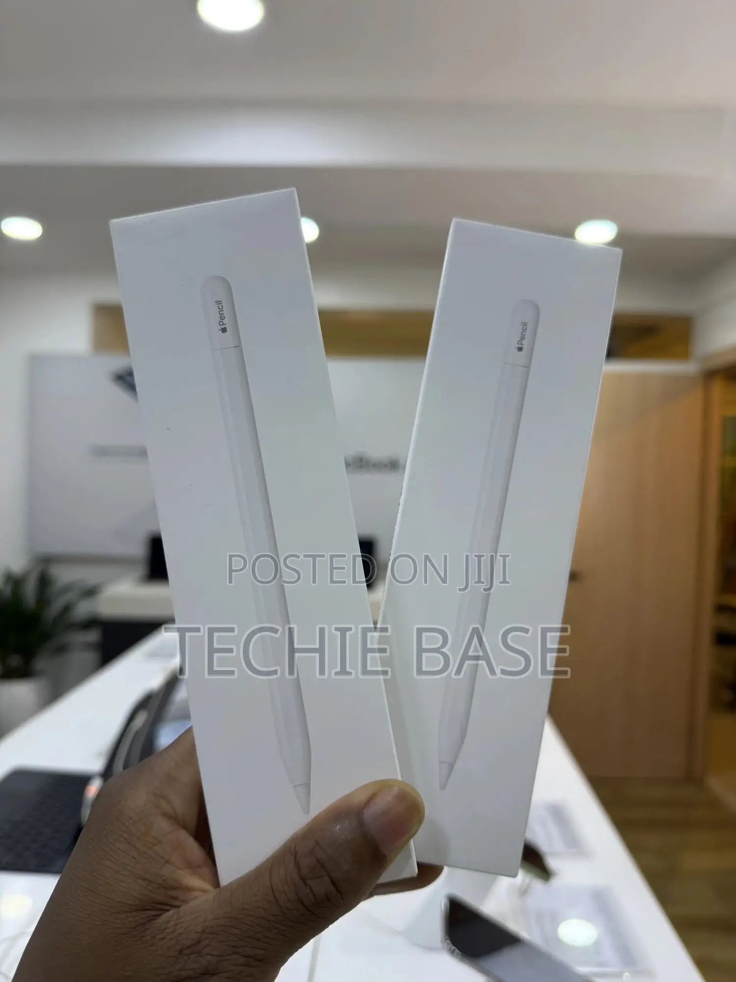Apple Pencil (Usb-C)