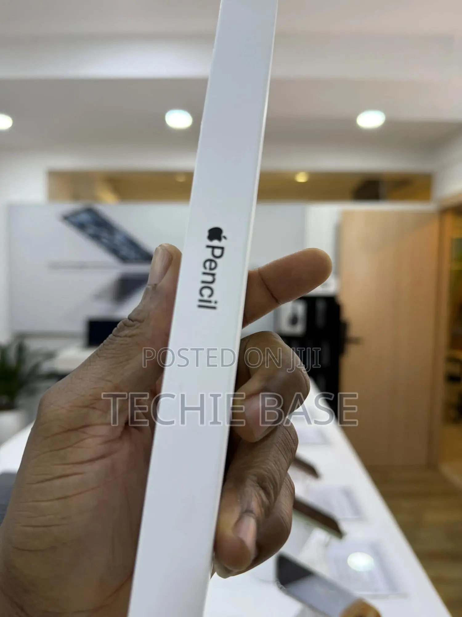 Apple Pencil (Usb-C)