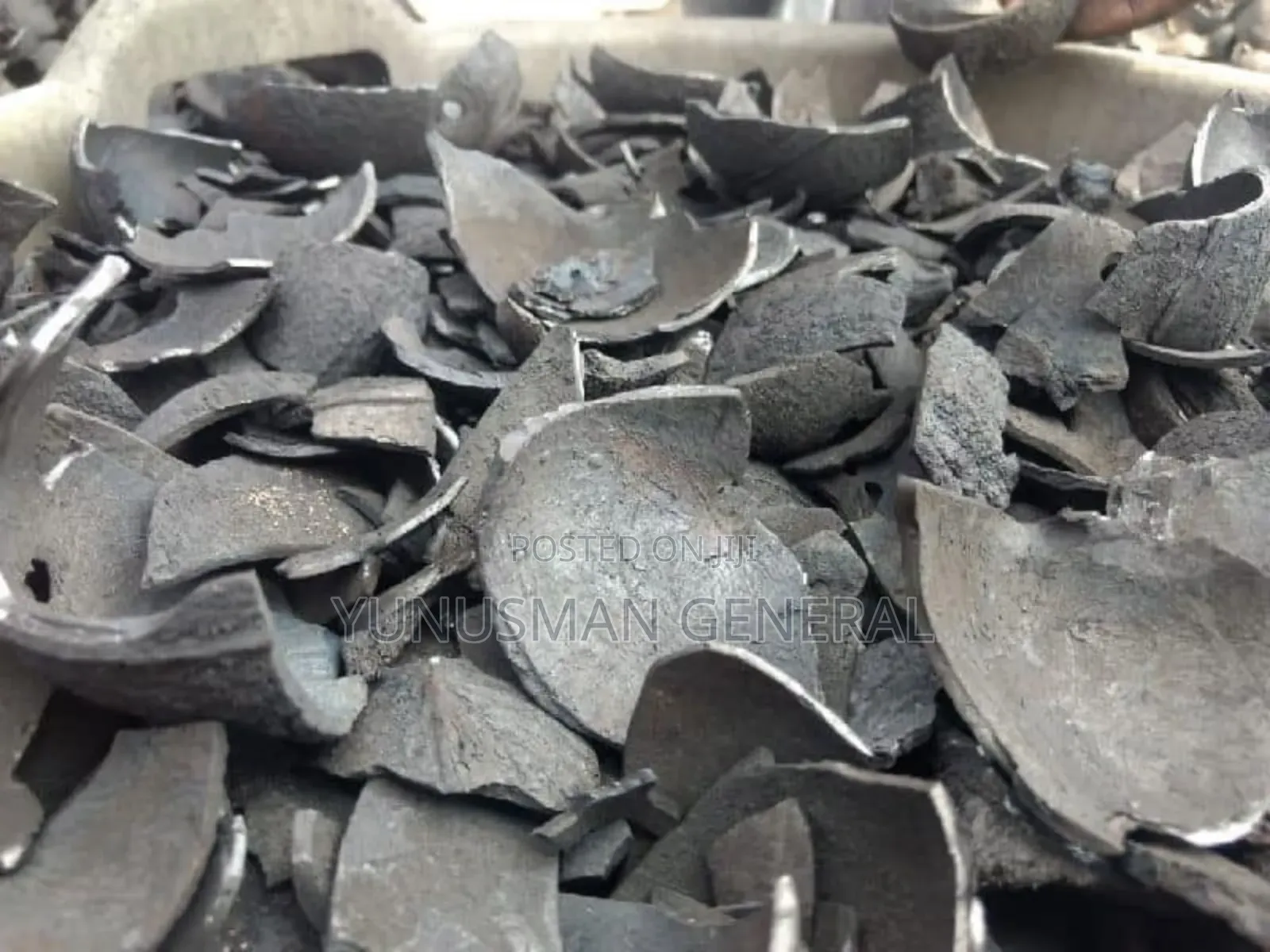 Coconut Shell
