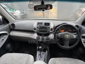 Toyota RAV4 2010 Silver