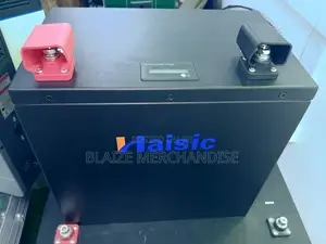 Haisic 4kwh 12v Lithium Battery