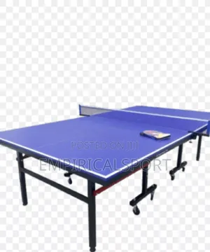 Indoor Table Tennis