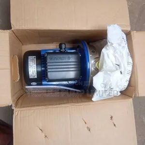 Lowara Surface Pump