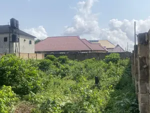 Genuine 50ft by 80ft in Ogumwenyin by Waec Office Tarred Road for Sale