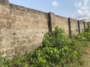 Genuine 50ft by 80ft in Ogumwenyin by Waec Office Tarred Road for Sale