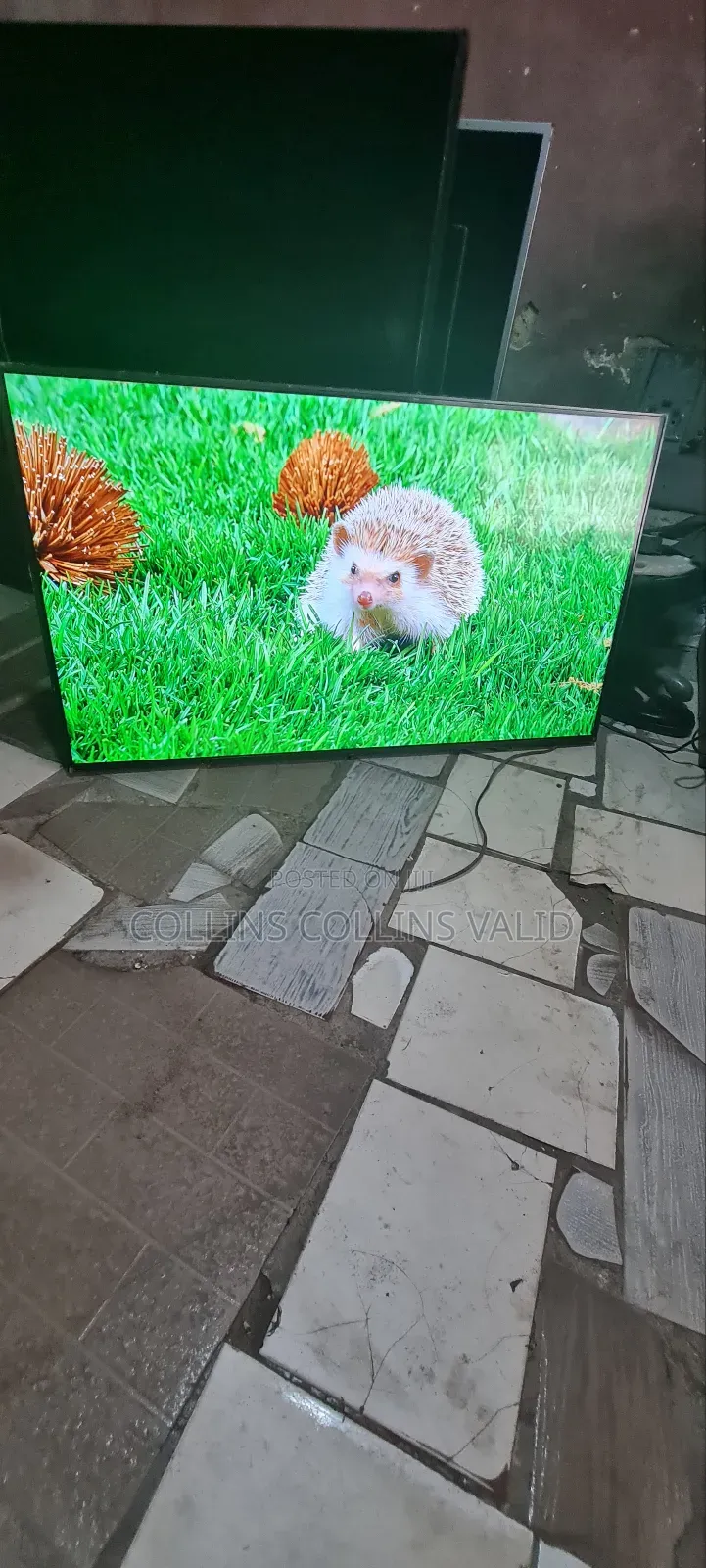 43 Inches Samsung Frameless
