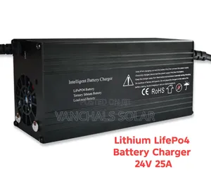 Lithium Lifepo4 Battery Charger 24v 25a