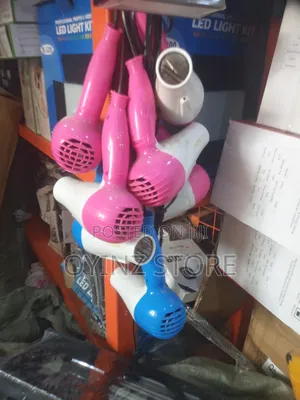 Portable Hair Dryer