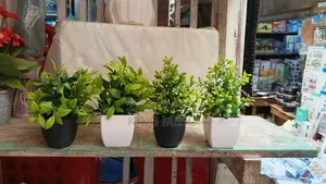 Table Cup Flower Available