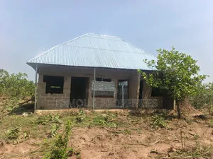 Cashew Farm for Sale