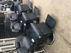 Exclusive Saloon Chairs