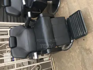 Exclusive Saloon Chairs