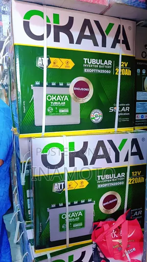 Okaya Tubular Inverter Battery