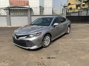 Toyota Camry LE (2.5L 4cyl 8A) 2019 Silver
