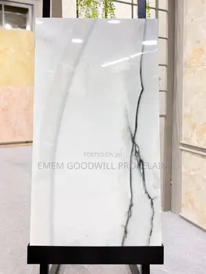 Goodwill Ceramics Tiles 60x120cm Floor Tiels
