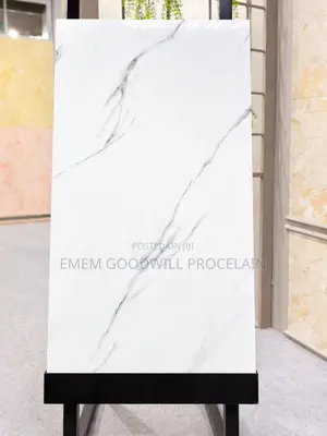 Goodwill Ceramics Tiles 60x120cm Floor Tiels