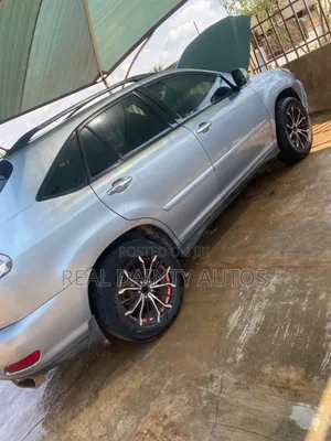 Lexus RX 330 2004 Blue