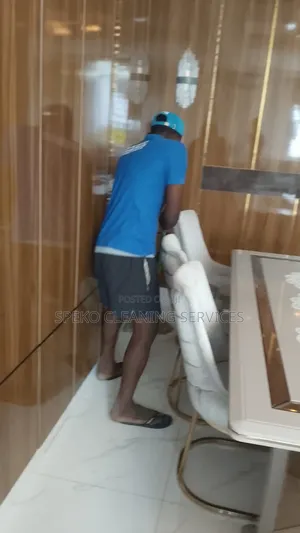 Cleaning Services