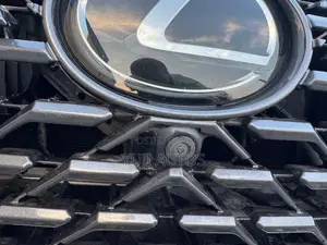 Lexus RX 350 2020 Gray