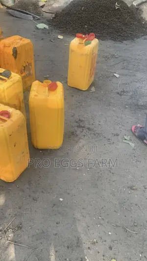 Unadulterated Palm Oil