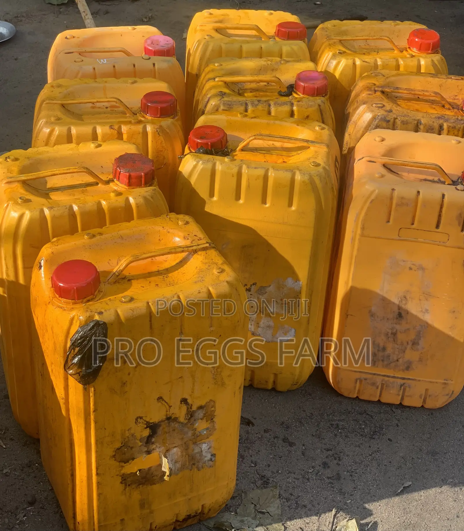 Unadulterated Palm Oil