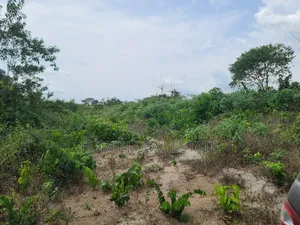 Poka Epe Upland