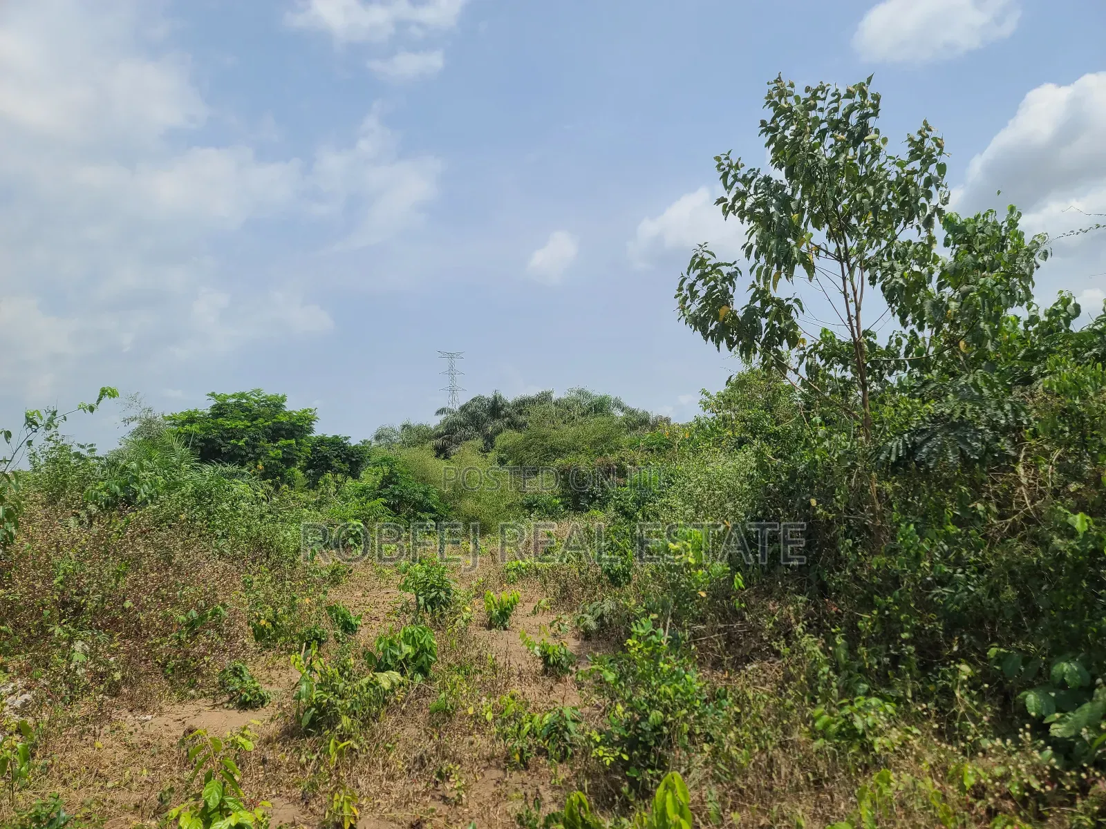 Poka Epe Upland
