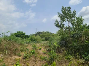 Poka Epe Upland