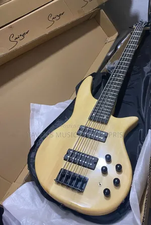 Fender Five String Active Bass Guitar