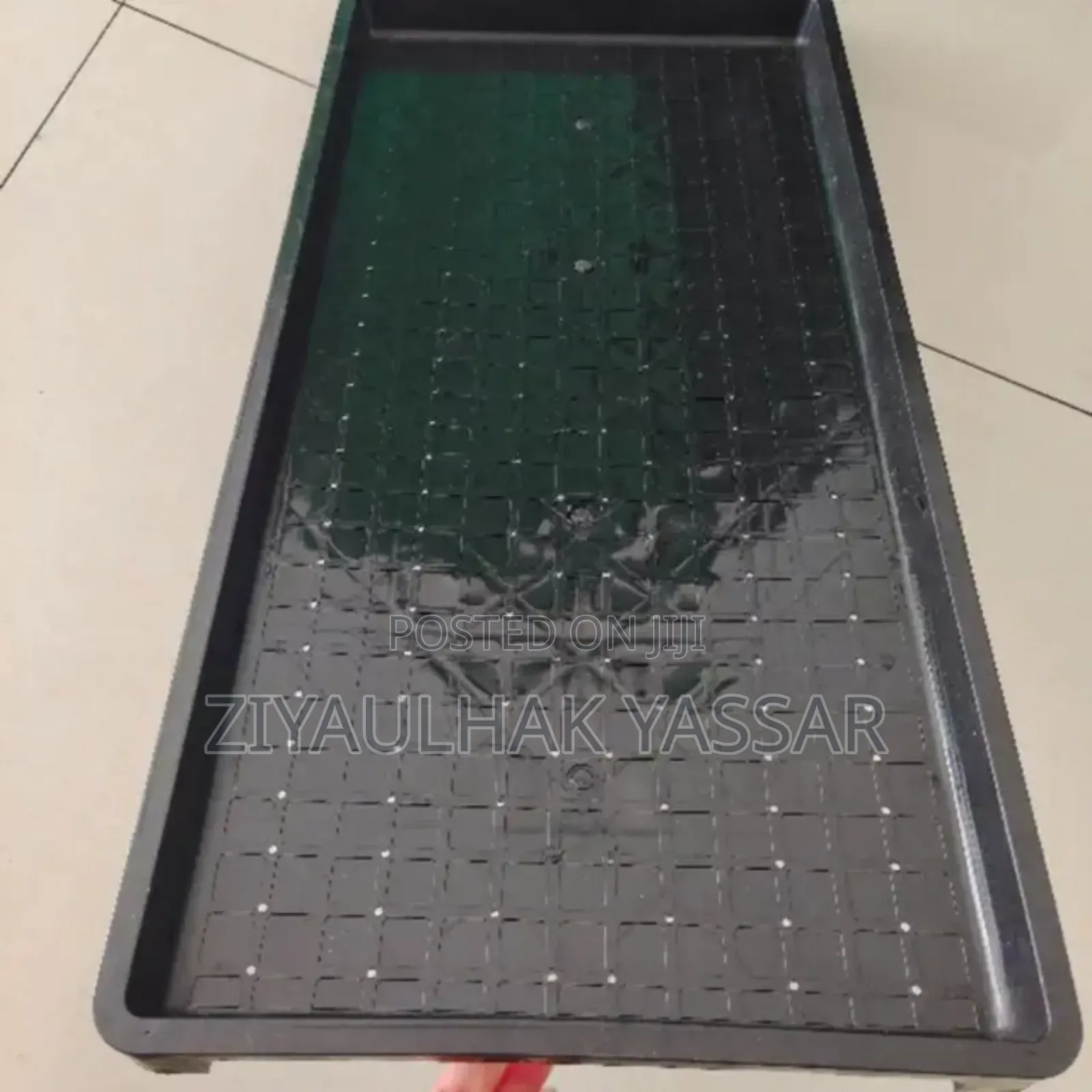 Fodder Trays, Rice Seedling Trays