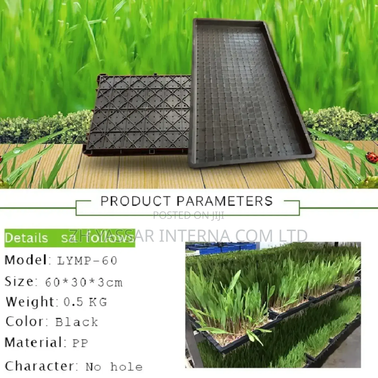 Fodder Trays, Rice Seedling Trays