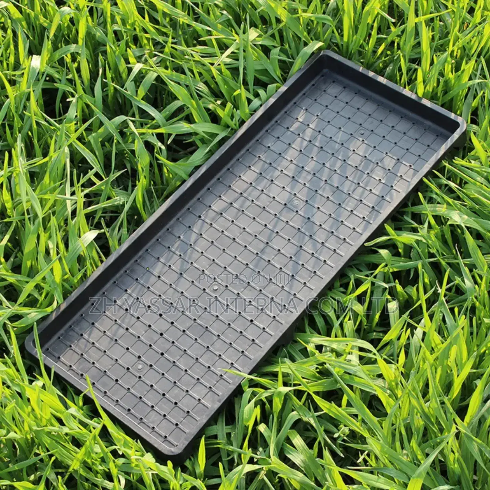 Fodder Trays, Rice Seedling Trays