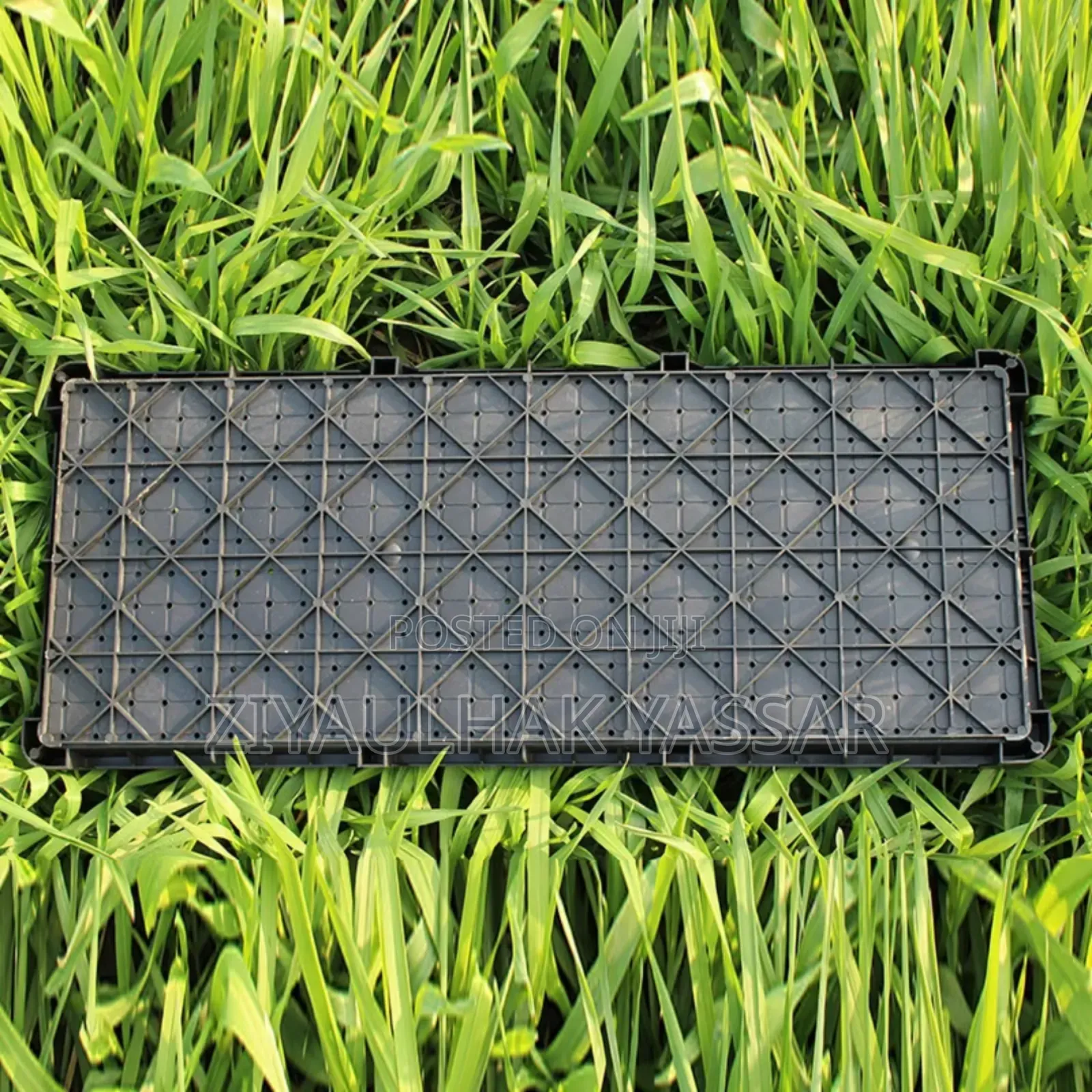Fodder Trays, Rice Seedling Trays
