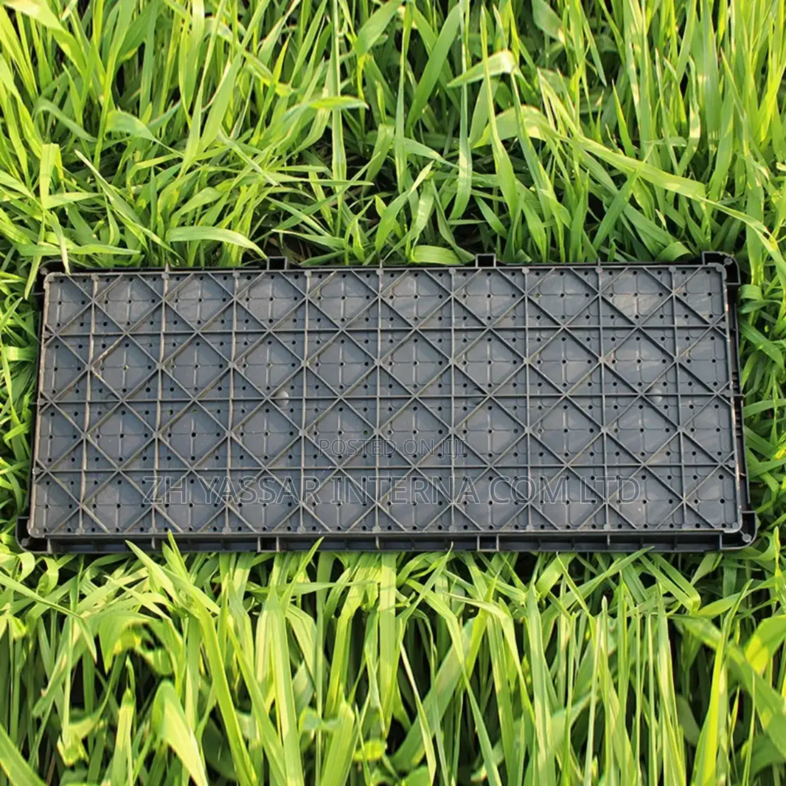 Fodder Trays, Rice Seedling Trays