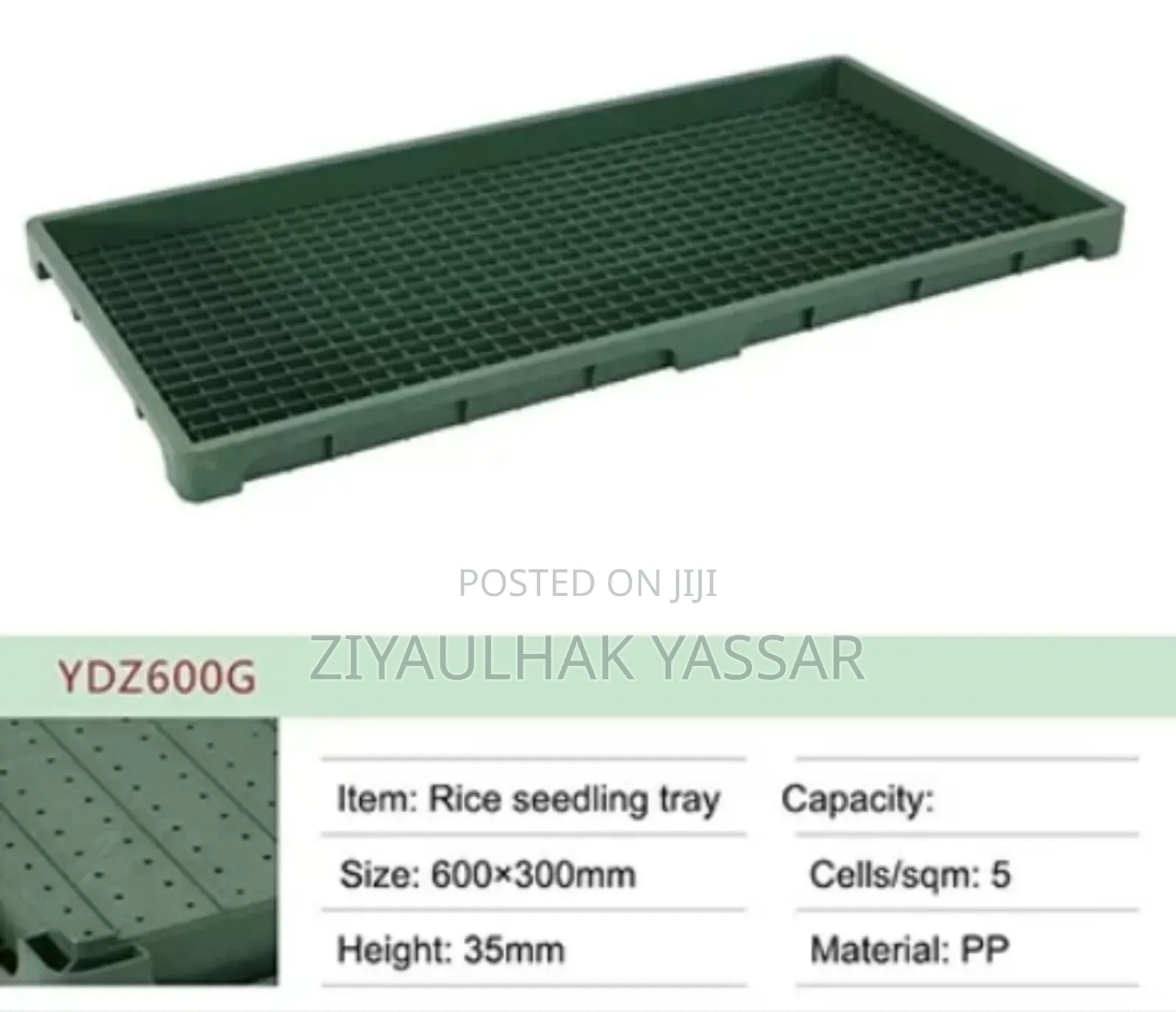 Fodder Trays, Rice Seedling Trays