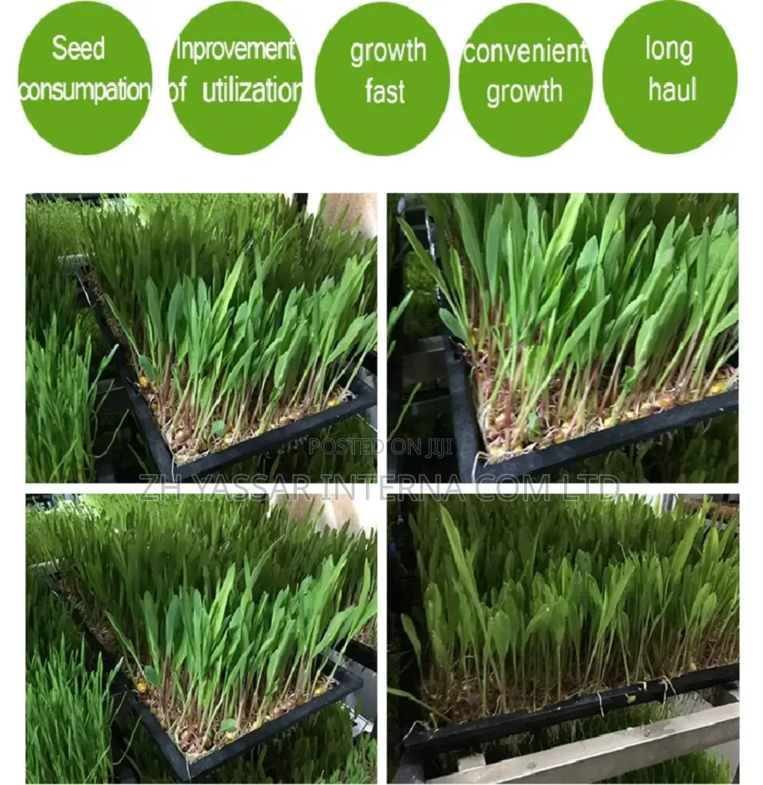 Fodder Trays, Rice Seedling Trays