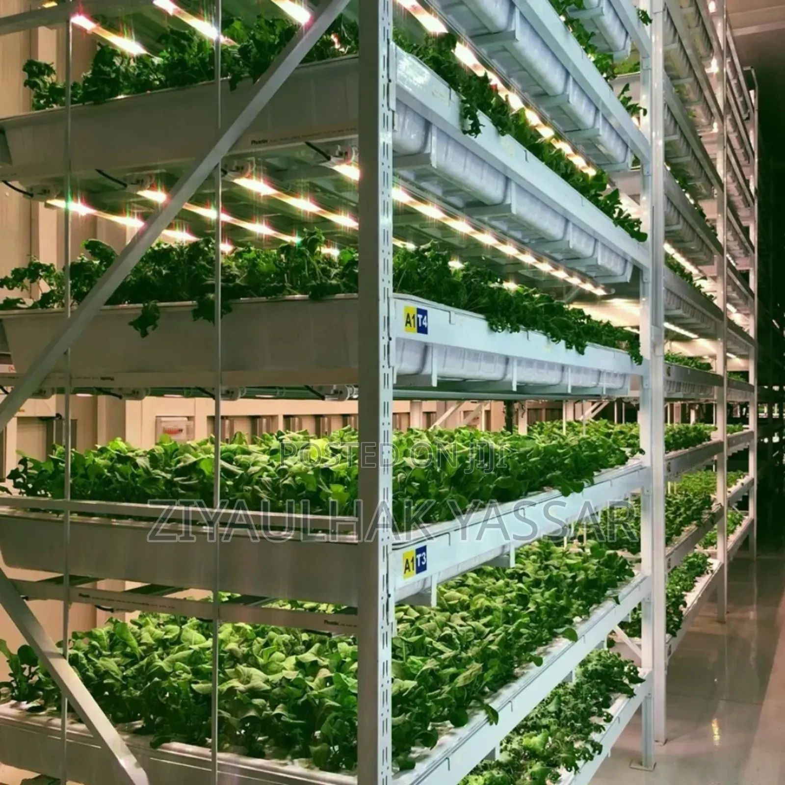 Fodder Trays, Rice Seedling Trays