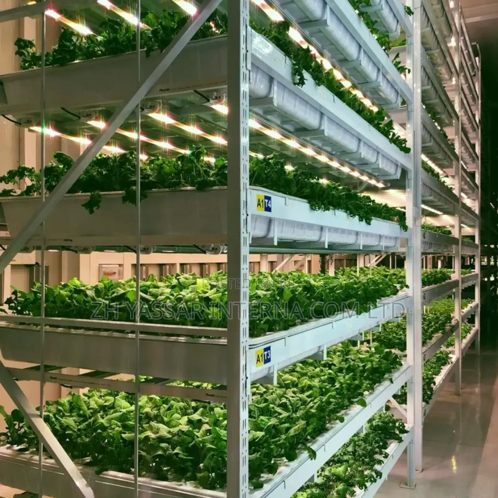 Fodder Trays, Rice Seedling Trays