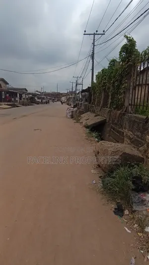 2 Plot Together on a Tarred Road