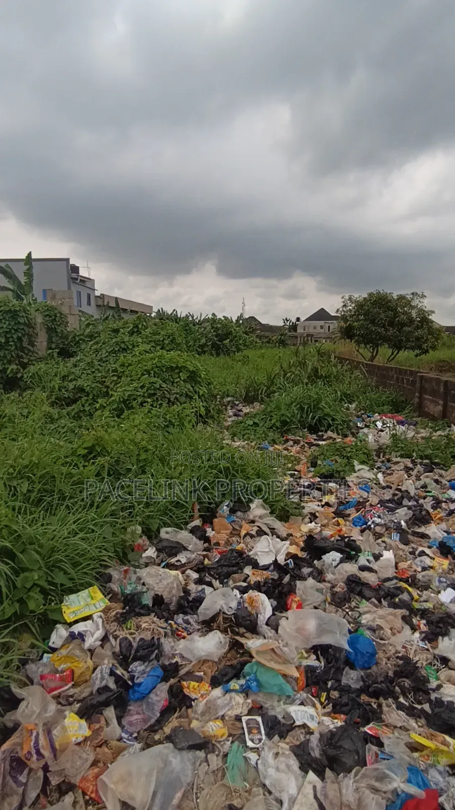 2 Plot Together on a Tarred Road