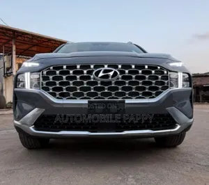 Hyundai Santa Fe 2024 Gray