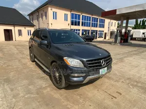 Mercedes-Benz M Class 2014 Black