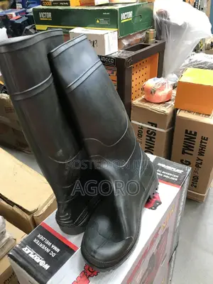 Ordinary Rainboot