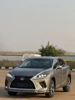 Lexus RX 350 2020 Gray