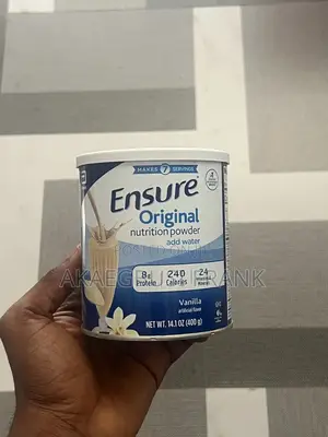 Ensure Original Nutritional Powder 400g