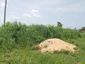 Land for Sale. Complete 140x60