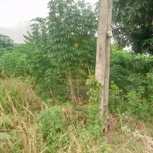Half Plot at Ofin